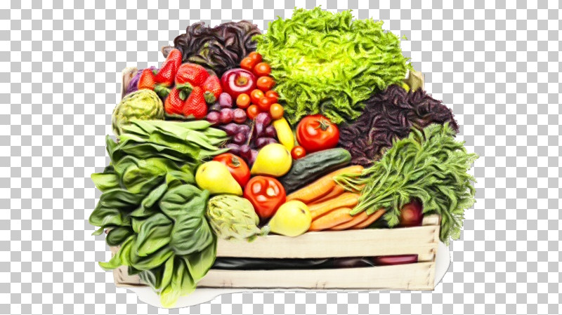 Salad PNG, Clipart, Cabbage, Food, Food Group, Fruit, Leaf Vegetable Free PNG Download