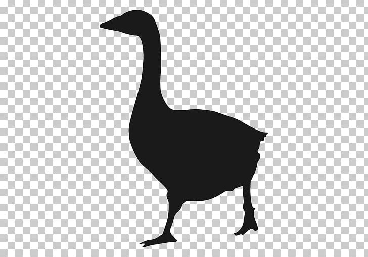 Daisy Duck Goose Silhouette Drawing PNG, Clipart, Anatidae, Animals, Beak, Bird, Black And White Free PNG Download