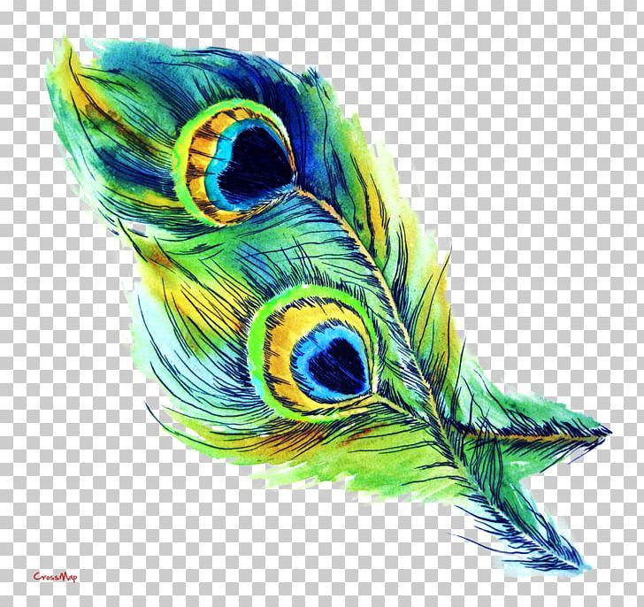 T-shirt Feather Peafowl Drawing PNG, Clipart, Art, Beak, Bird, Clip Art, Color Free PNG Download