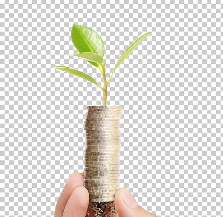 U56edu827au76c6u666f Bonsai Plant Seedling Flowerpot PNG, Clipart, Anthurium Andraeanum, Bonsai, Coin, Creative, Cymbidium Goeringii Free PNG Download