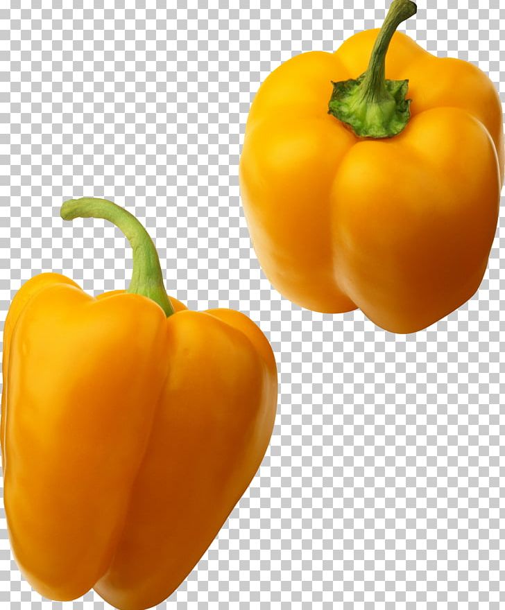 Pepper PNG, Clipart, Pepper Free PNG Download