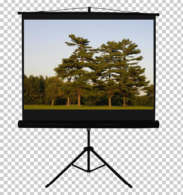 Projection Screens Projector Sumuvalkokangas Tripod Computer Monitors PNG, Clipart, 169, Angle, Aspect Ratio, Computer Monitor, Computer Monitor Accessory Free PNG Download