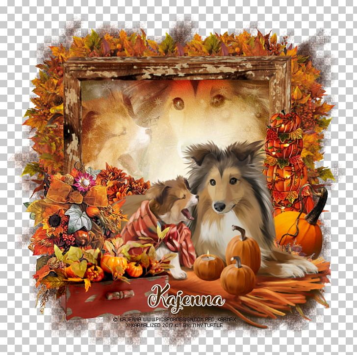 Dog Breed Puppy Cayenne Photography PNG, Clipart, Animal, Animals, Art, Autumn, Breed Free PNG Download