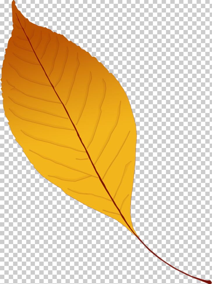 Leaf Yellow Branch PNG, Clipart, Author, Autumn Leaves, Branch, Leaf, Nature Free PNG Download