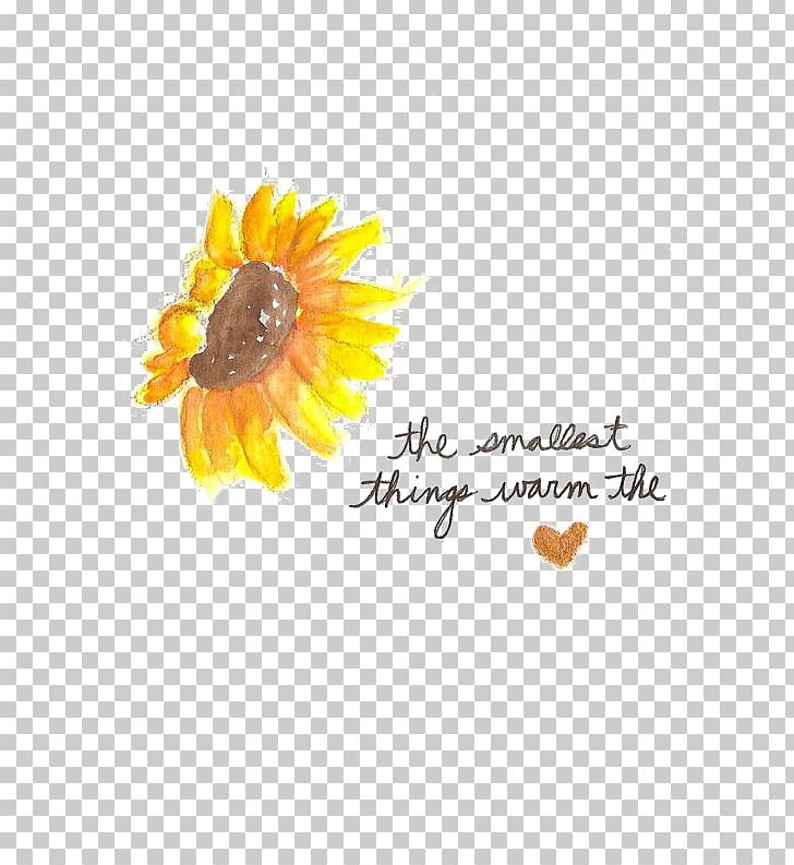 Quotation Saying Artistic Inspiration Life Love PNG, Clipart, Cartoon, Daisy Family, English, Flower, Flowers Free PNG Download