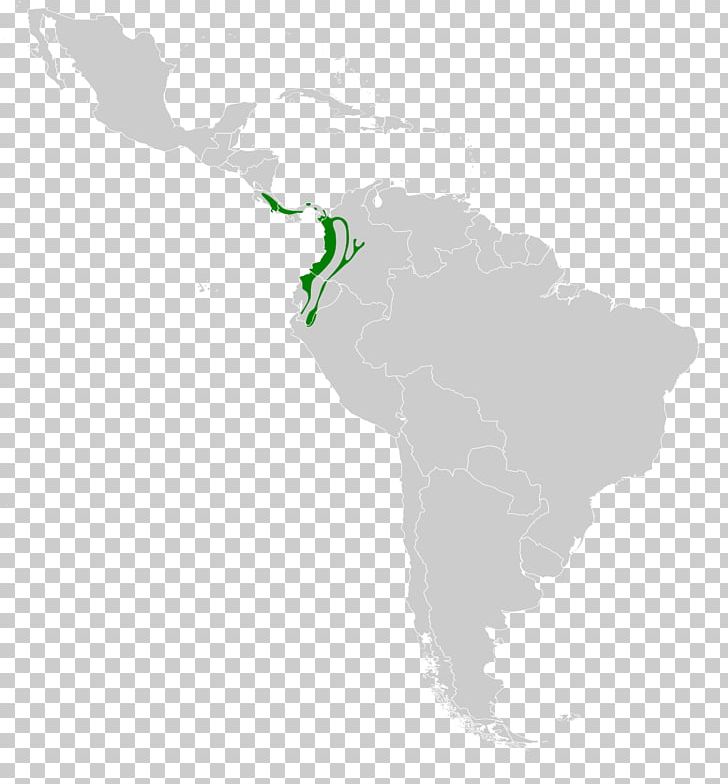 South America Latin America United States Region Geography PNG, Clipart, Americas, Blank Map, English, Geography, Green Free PNG Download