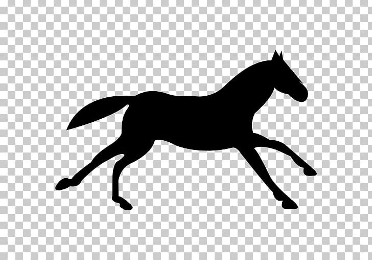 Appaloosa Equestrian Black Computer Icons PNG, Clipart, Animal Figure, Black, Encapsulated Postscript, Grass, Horse Free PNG Download