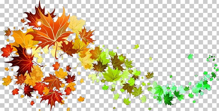 Autumn Leaf Color PNG, Clipart, Autumn, Autumn Leaf Color, Branch, Computer Wallpaper, Desktop Wallpaper Free PNG Download