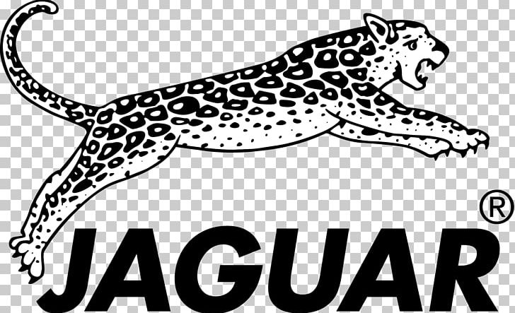 Jaguar Hair Clipper Hair Iron Scissors Hair-cutting Shears PNG, Clipart, Animals, Big Cats, Carnivoran, Cat Like Mammal, Cosmetics Free PNG Download