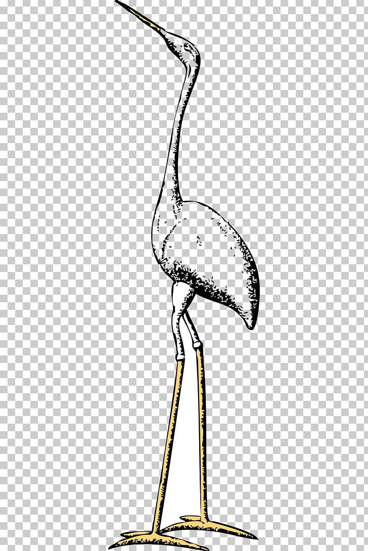 Marabou Stork Crane Bird Ciconia PNG, Clipart, Animal, Area, Beak, Bird, Black And White Free PNG Download