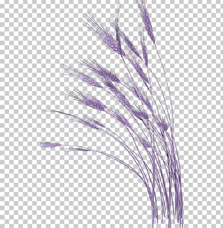 Free Logo Design Template Violet Grass PNG, Clipart, Computer Icons, Download, Encapsulated Postscript, Feather, Free Free PNG Download