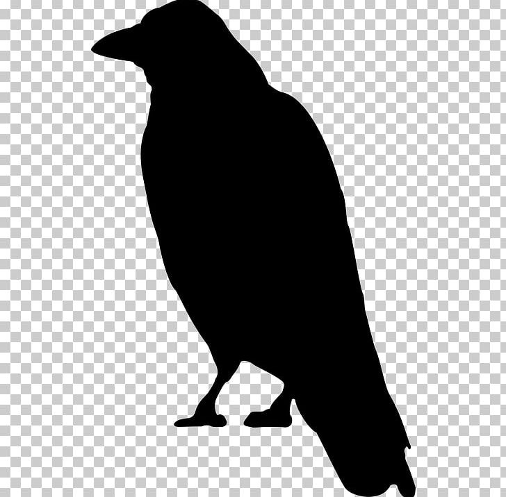 Silhouette Crow PNG, Clipart, Art, Beak, Bird, Black And White, Common Raven Free PNG Download
