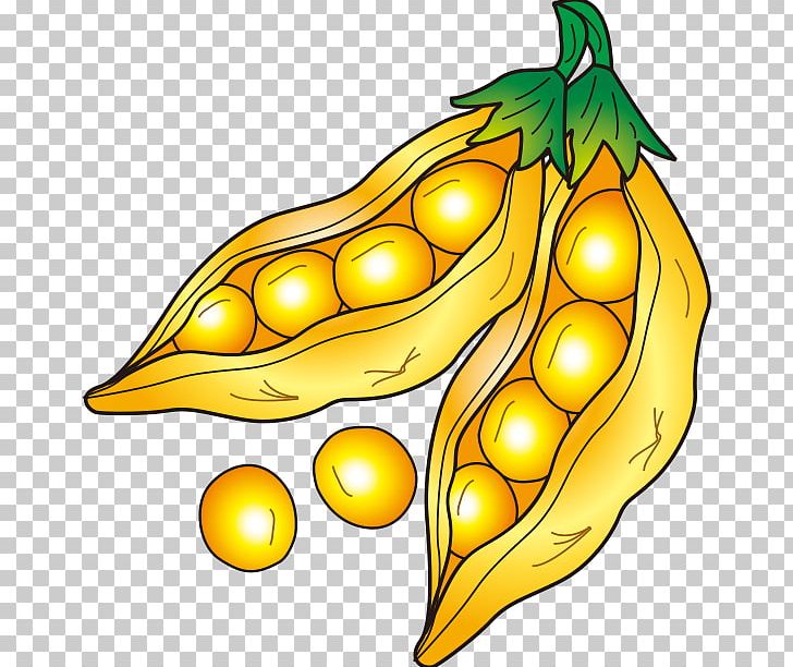 Soybean Drawing PNG, Clipart, Art, Beans, Butterfly Pea, Butterfly Pea Flower, Cartoon Free PNG Download