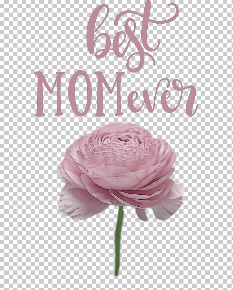 Mothers Day Best Mom Ever Mothers Day Quote PNG, Clipart, Best Mom Ever, Cut Flowers, Floral Design, Garden Roses, Lilac M Free PNG Download