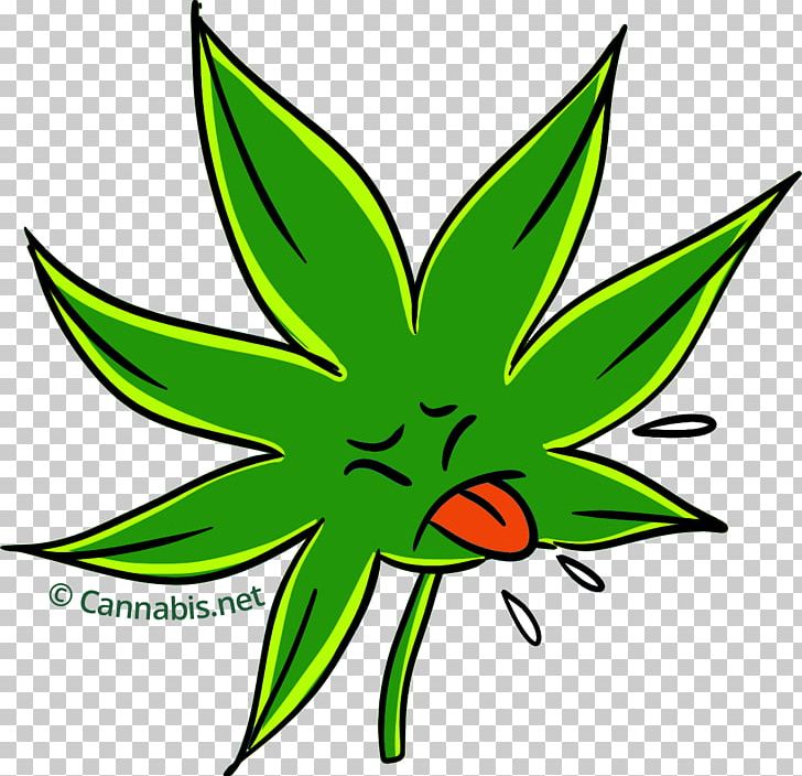 Durban Poison Cannabis Sativa Kush Plant PNG, Clipart, Artwork, Cannabis, Cannabis Sativa, Durban, Durban Poison Free PNG Download