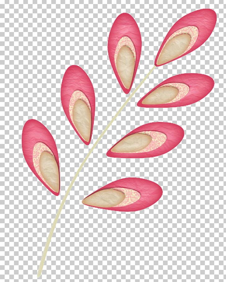 Oh! Flower PNG, Clipart, Art Object, August 18, Credit, Deviantart, Fav Free PNG Download