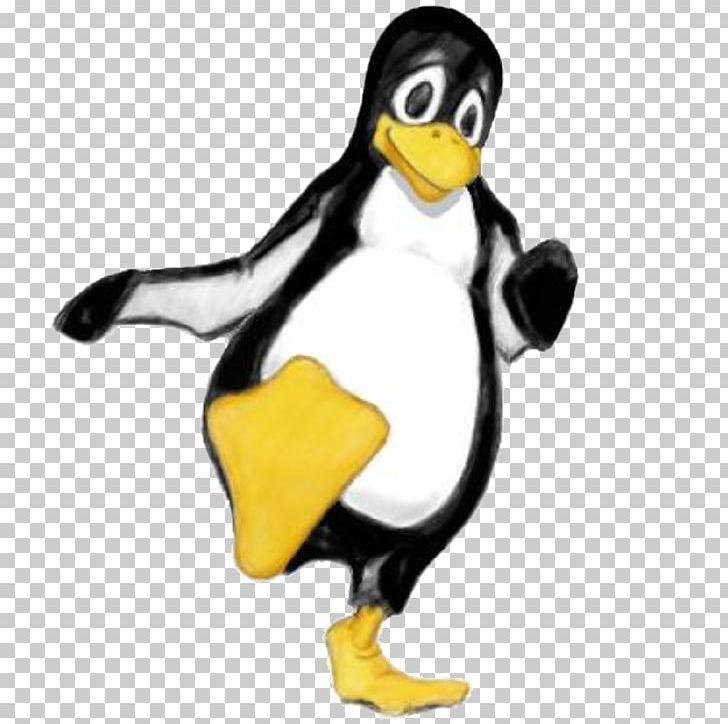Penguin Dance Animation YouTube PNG, Clipart, Animal Figure, Animals, Animation, Beak, Bird Free PNG Download