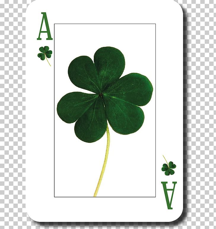 Saint Patrick's Day Ireland The Luck Of The Irish Irish People PNG, Clipart,  Free PNG Download