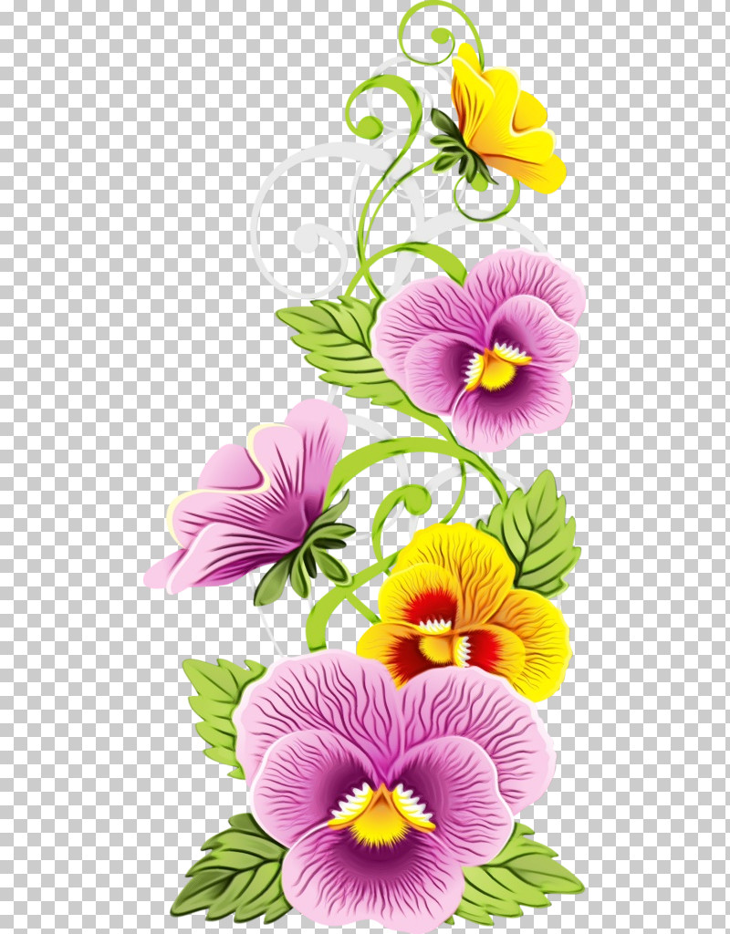 Flower Petal Wild Pansy Plant Violet PNG, Clipart, Bouquet, Flower, Hawaiian Hibiscus, Hibiscus, Moth Orchid Free PNG Download