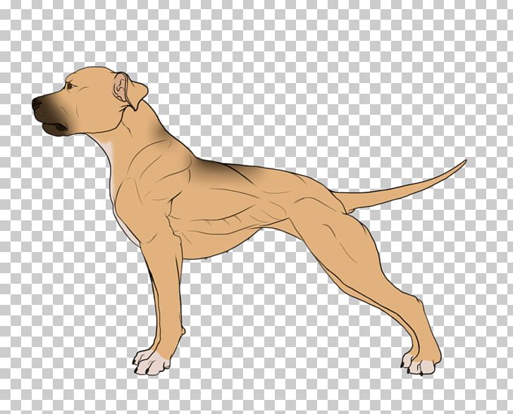 Dog Breed Non-sporting Group Leash Cartoon PNG, Clipart, Breed, Carnivoran, Cartoon, Dog, Dog Breed Free PNG Download