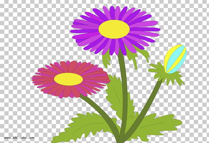 Drawing Raster Graphics PNG, Clipart, Annual Plant, Aster, Bitmap, Chrysanths, Cut Flowers Free PNG Download