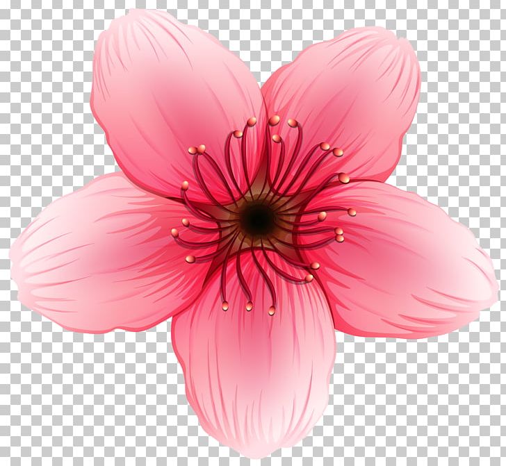 Flower Desktop PNG, Clipart, Annual Plant, Art, Blossom, Cherry Blossom, Closeup Free PNG Download