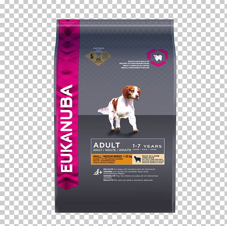 Puppy Newfoundland Dog Eukanuba Dog Food Dog Breed PNG, Clipart,  Free PNG Download