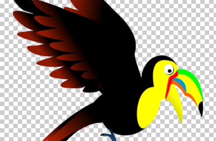 Toucan Drawing Free Content PNG, Clipart, Beak, Bird, Blog, Cartoon, Channelbilled Toucan Free PNG Download