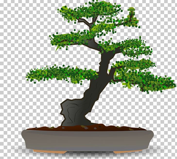 Bonsai Sageretia Theezans Tree PNG, Clipart, Bonsai, Flowerpot, Houseplant, Nature, Plant Free PNG Download