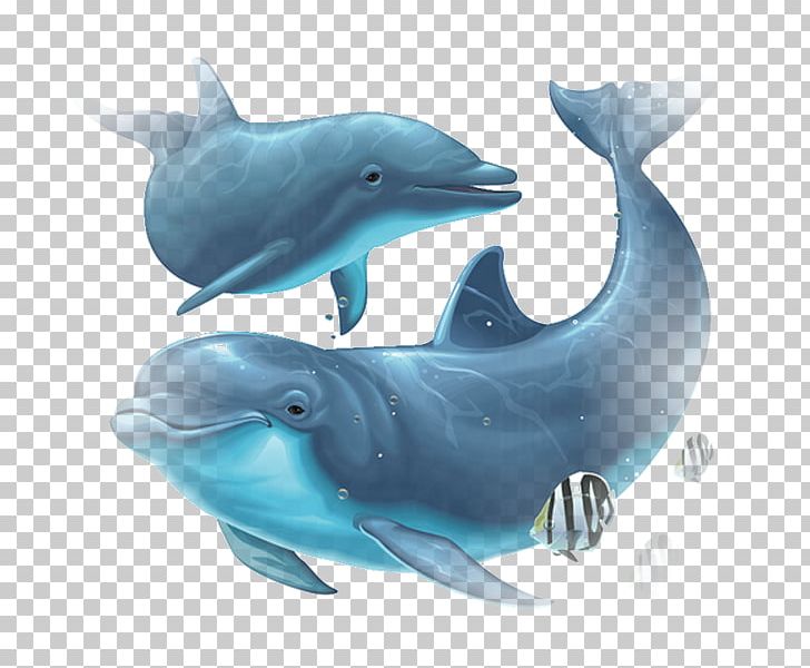 Common Bottlenose Dolphin Tucuxi Wholphin Rough-toothed Dolphin Short-beaked Common Dolphin PNG, Clipart, Animal, Animals, Bottlenose Dolphin, Common Bottlenose Dolphin, Desktop Wallpaper Free PNG Download