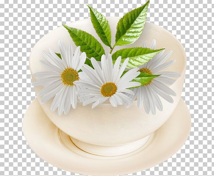 Romashkovoye Greeting Afternoon КМЗ К-1В Cake Decorating PNG, Clipart, Afternoon, Cake, Cake Decorating, Daisy, Daisy Family Free PNG Download