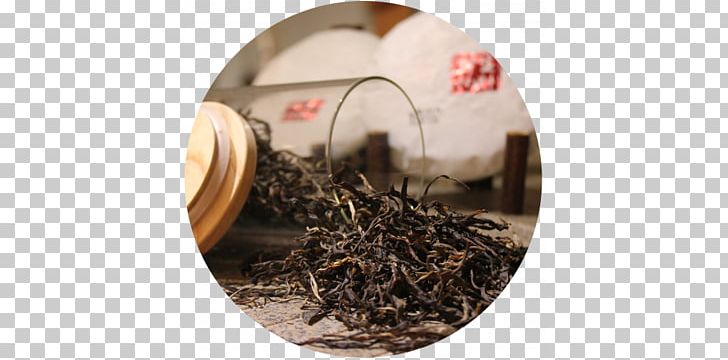 Green Tea Bubble Tea White Tea Camellia Sinensis PNG, Clipart, Bkack Tea Vanilla, Black Tea, Bubble Tea, Camellia Sinensis, Chinese Tea Free PNG Download