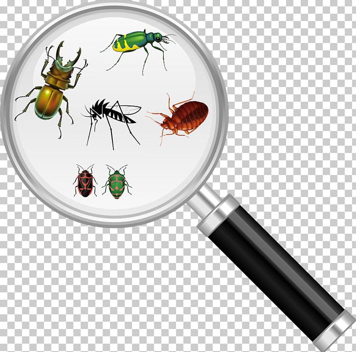 Insect Cockroach Pest Control Magnifying Glass PNG, Clipart, Bed Bug, Bed Bug Control Techniques, Bee Removal, Cockroach, Glass Free PNG Download