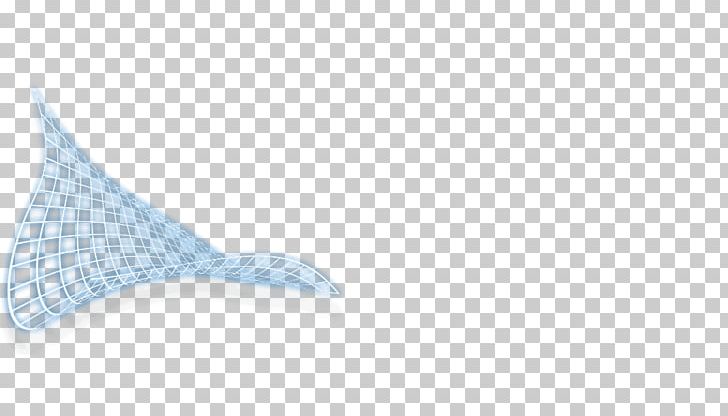 Product Design Shoe Line PNG, Clipart, Blue, Line, Marine Mammal, Science Single Page, Shoe Free PNG Download