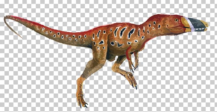Xiongguanlong Tyrannosaurus Allosaurus Albertosaurus Zhuchengtyrannus PNG, Clipart, Cartoon, Deviantart, Dinosaur Egg, Dinosaur Footprints, Dinosaur Silhouette Free PNG Download