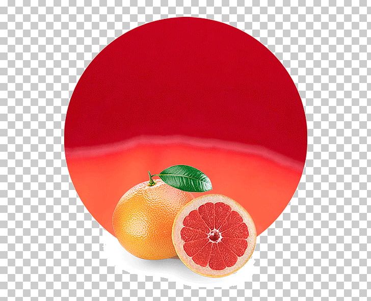 Blood Orange Grapefruit Juice Clementine PNG, Clipart, Blood Orange, Citric Acid, Citrus, Clementine, Concentrate Free PNG Download