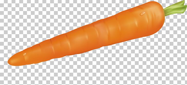 Bockwurst Baby Carrot Knackwurst Cervelat Frankfurter Wxfcrstchen PNG, Clipart, Agriculture, Bologna Sausage, Carrot, Carrots Vector, Ecology Free PNG Download