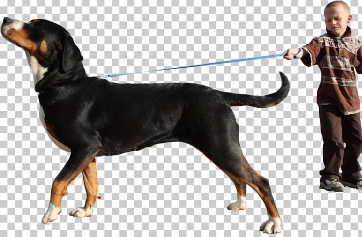 Dog Breed Black And Tan Coonhound Transylvanian Hound Polish Hunting Dog Smaland Hound PNG, Clipart, Animal, Animals, Black And Tan Coonhound, Breed, Carnivoran Free PNG Download