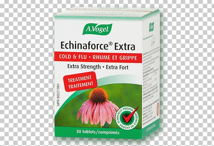 Echinaforce Common Cold Dietary Supplement Tablet Purple Coneflower PNG, Clipart, Alfred Vogel, Brand, Cold Store Menu, Common Cold, Coneflower Free PNG Download