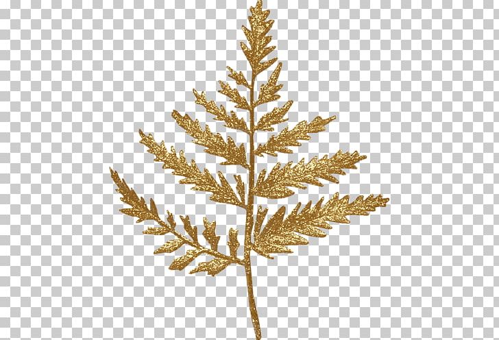Leaf Spruce PNG, Clipart, Branch, Christmas Decoration, Christmas Ornament, Christmas Tree, Conifer Free PNG Download