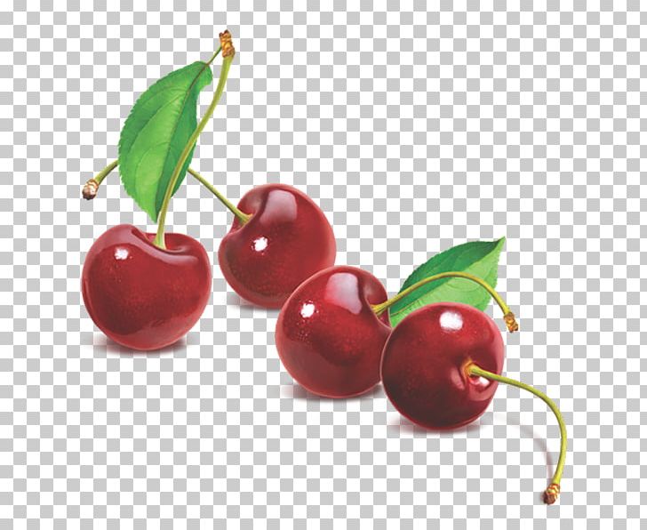 Barbados Cherry Park Way Primary School Lingonberry Fruit PNG, Clipart, Acces, Acerola, Acerola Family, Berry, Cherry Free PNG Download