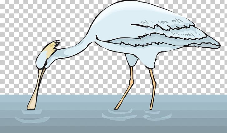 Bird Spoonbill PNG, Clipart, Animals, Beak, Bird, Ciconiiformes, Crane Free PNG Download