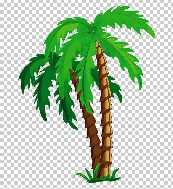 Arecaceae Tropics PNG, Clipart, Arecaceae, Arecales, Beach, Coconut, Coconut Tree Free PNG Download
