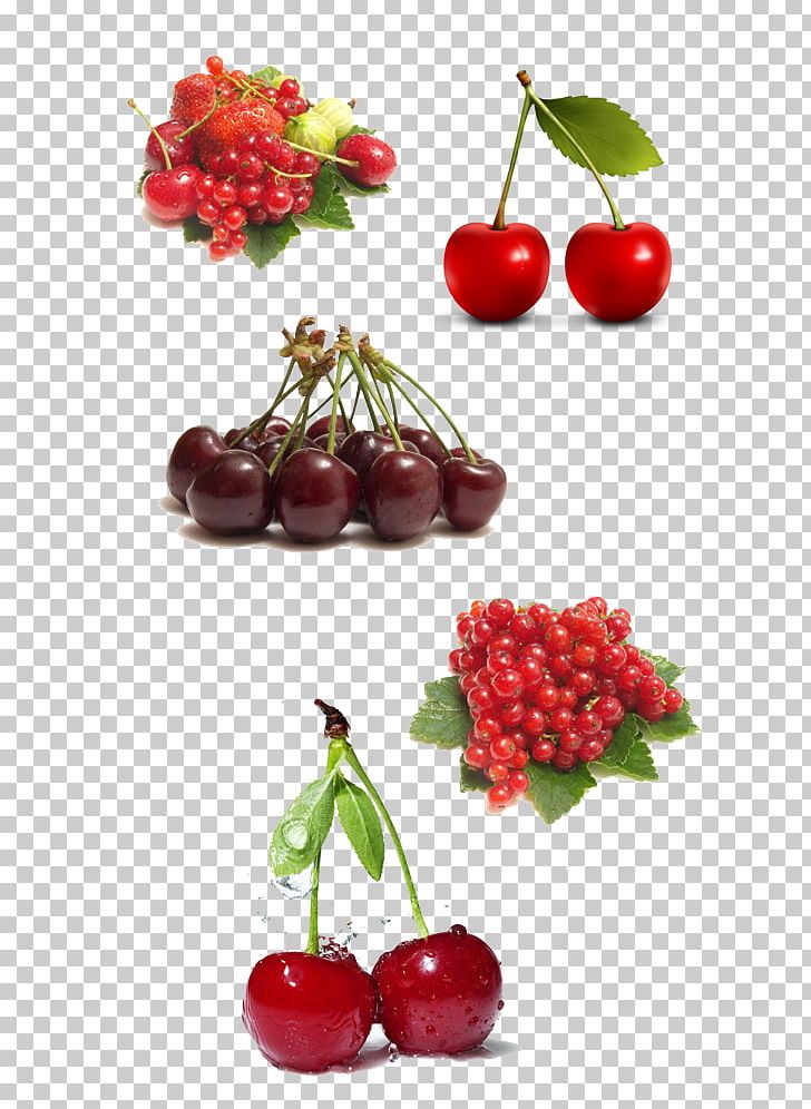 Barbados Cherry Auglis Malpighia Glabra PNG, Clipart, Acerola Family, Antioxidant, Apricot, Auglis, Berry Free PNG Download
