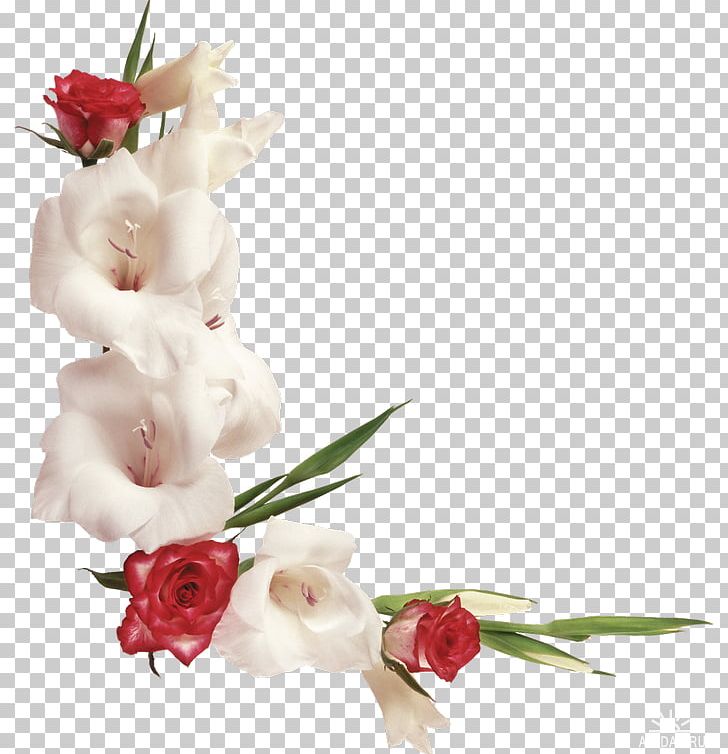 Flower Frames Photography PNG, Clipart, Artificial Flower, Blossom, Cut Flowers, Description, Desktop Wallpaper Free PNG Download