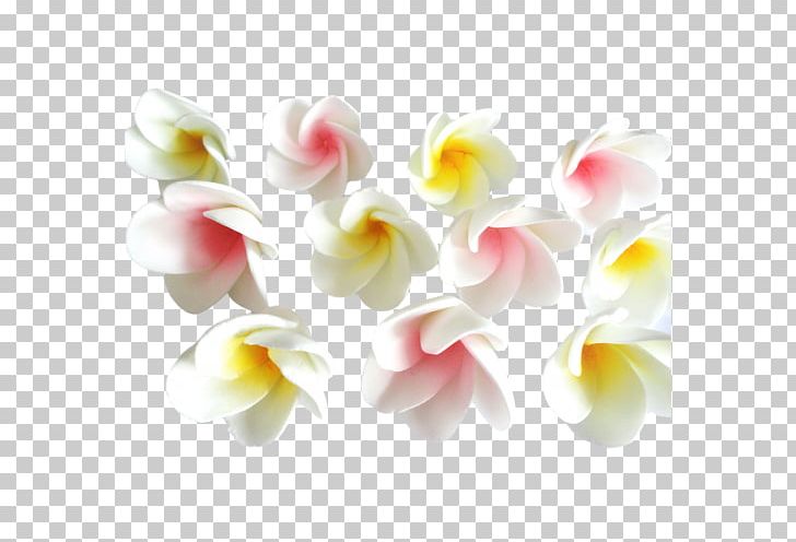Moth Orchids Cut Flowers Artificial Flower Petal PNG, Clipart, Artificial Flower, Cupcake, Cut Flowers, Flower, Flowering Plant Free PNG Download