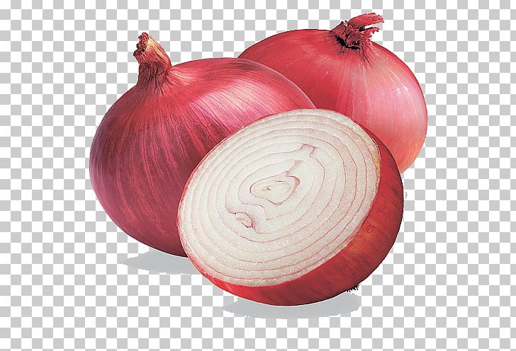 Shallot Red Onion White Onion Vegetable Scallion PNG, Clipart, Allium, Bulb, Food, Food Drinks, Ingredient Free PNG Download