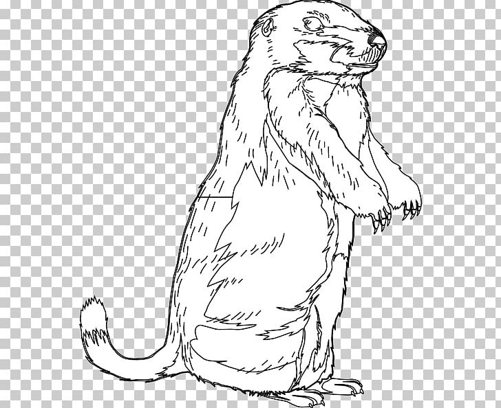 The Groundhog Groundhog Day Open PNG, Clipart, Artwork, Beaver, Black And White, Burrow, Carnivoran Free PNG Download