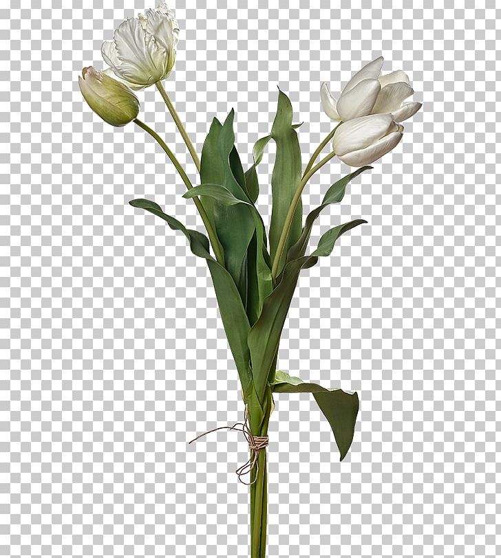 Tulip Cut Flowers Plant Stem Flower Bouquet PNG, Clipart, Apartment, Bud, Cut Flowers, Floral Design, Floristry Free PNG Download