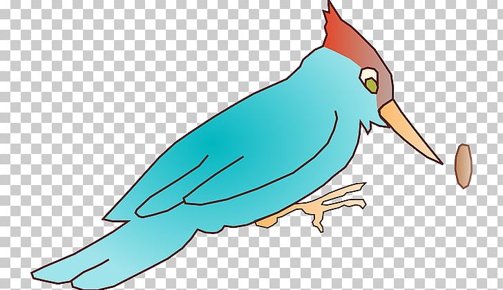 Woodpecker Piciformes PNG, Clipart, Artwork, Beak, Bird, Blackheaded Woodpecker, Download Free PNG Download